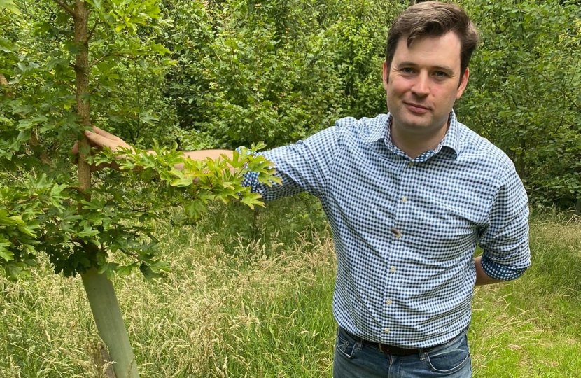 Hayfield community woodland project praised